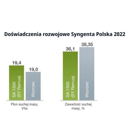 Nasiona kukurydzy SA 1500 FAO 250 Syngenta