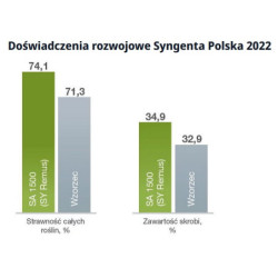 Nasiona kukurydzy SA 1500 FAO 250 Syngenta