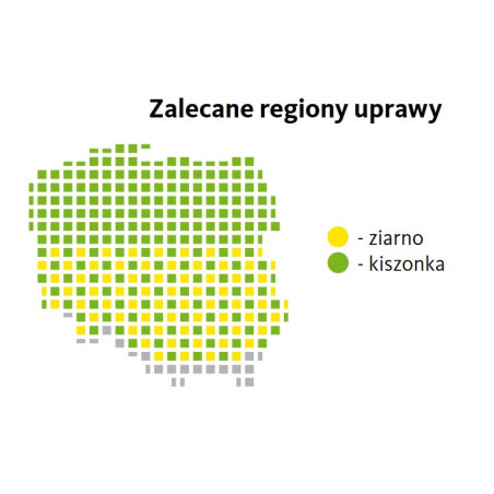 Nasiona kukurydzy Claudius FAO 260 Saatbau