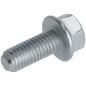 Flange bolt M8 x 20