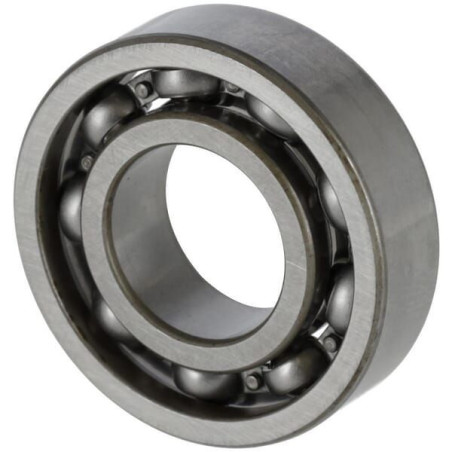 Bearing 6002 C3