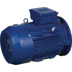 Silnik elektryczny 1.5 kW