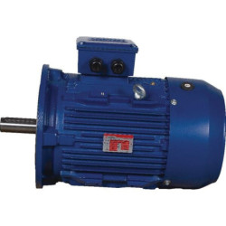 Silnik elektryczny 1.5 kW