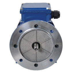 Silnik elektryczny 0.55 kW