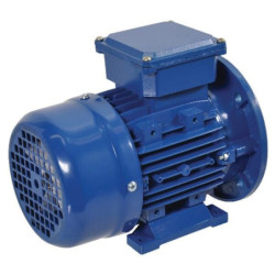 Silnik elektryczny 0.55 kW