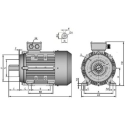 Silnik elektryczny paszociągu, 0,75 kW