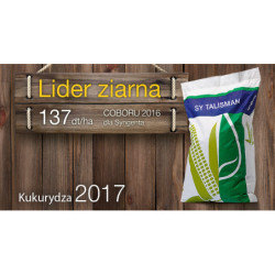 254086- Nasiona kukurydzy SY TALISMAN TALIZMAN Syngenta FAO