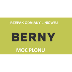 257658- Rzepak ozimy Berny 2,1 mln - nasiona rzepaku zaprawa T75