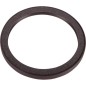 Oil seal