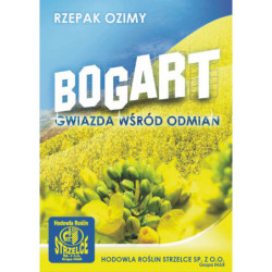 55257- Rzepak ozimy BOGART 3ha - gwiazda wśród odmian - nasiona