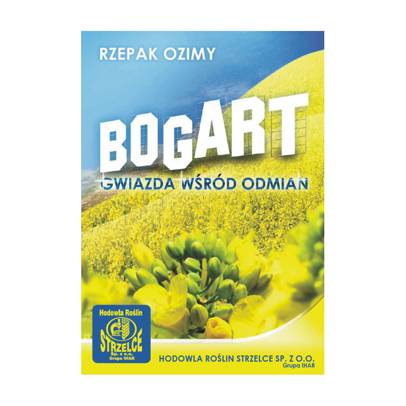 Rzepak ozimy BOGART 3ha - gwiazda wśród odmian - nasiona rzepaku