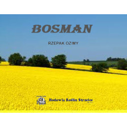 55261- Rzepak ozimy BOSMAN 3ha - nasiona rzepaku