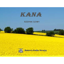 55262- Rzepak ozimy KANA 3ha - nasiona rzepaku