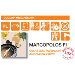 57977- Rzepak ozimy MARCOPOLOS F1 KWS 3ha - nasiona rzepaku