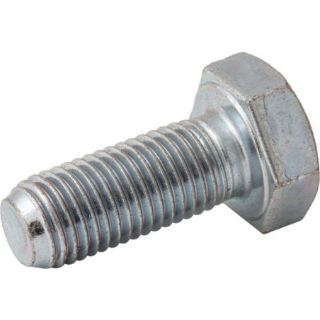 Screw