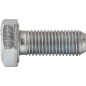 Screw