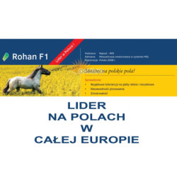 250544- Rzepak ozimy Rohan F1 1,5 mln Rapool NPZ - nasiona