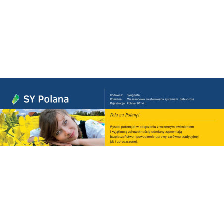 250546- Rzepak ozimy SY Polana F1 1,5mln Syngenta - nasiona