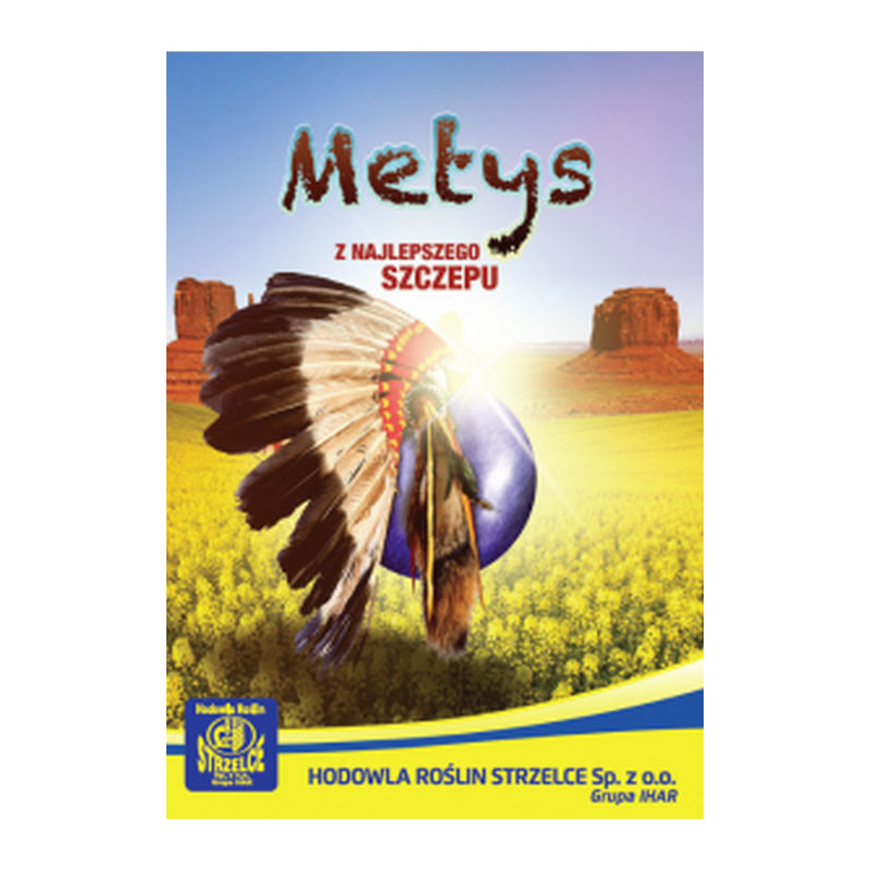 Rzepak ozimy Metys 3ha  - nasiona rzepaku