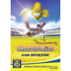 250593- Rzepak ozimy Marcelo 3ha - nasiona rzepaku