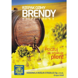 250594- Rzepak ozimy Brendy 3ha - nasiona rzepaku