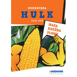 255536- Nasiona kukurydzy MAS HULK FAO 250