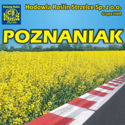 257574- Rzepak ozimy POZNANIAK 3ha - nasiona rzepaku