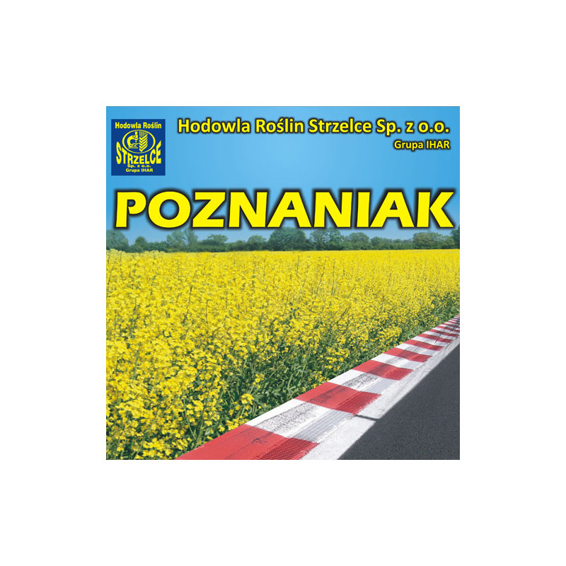 Rzepak ozimy POZNANIAK 3ha  - nasiona rzepaku