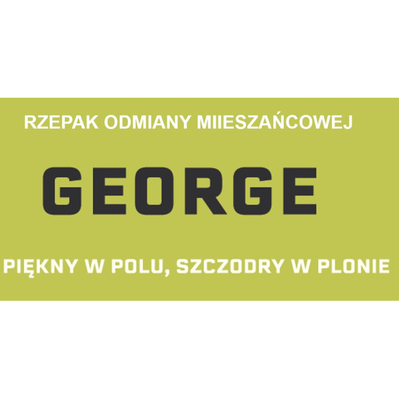 Rzepak ozimy GEORGE 1,5mln - nasiona rzepaku zaprawa Cruiser