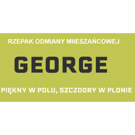 Rzepak ozimy GEORGE 1,5mln - nasiona rzepaku zaprawa Cruiser