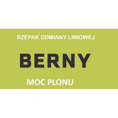 258531 Rzepak ozimy Berny 1.05 mln - nasiona rzepaku