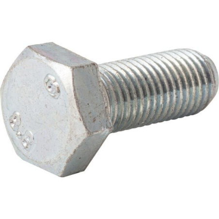 Screw