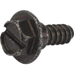Śruba