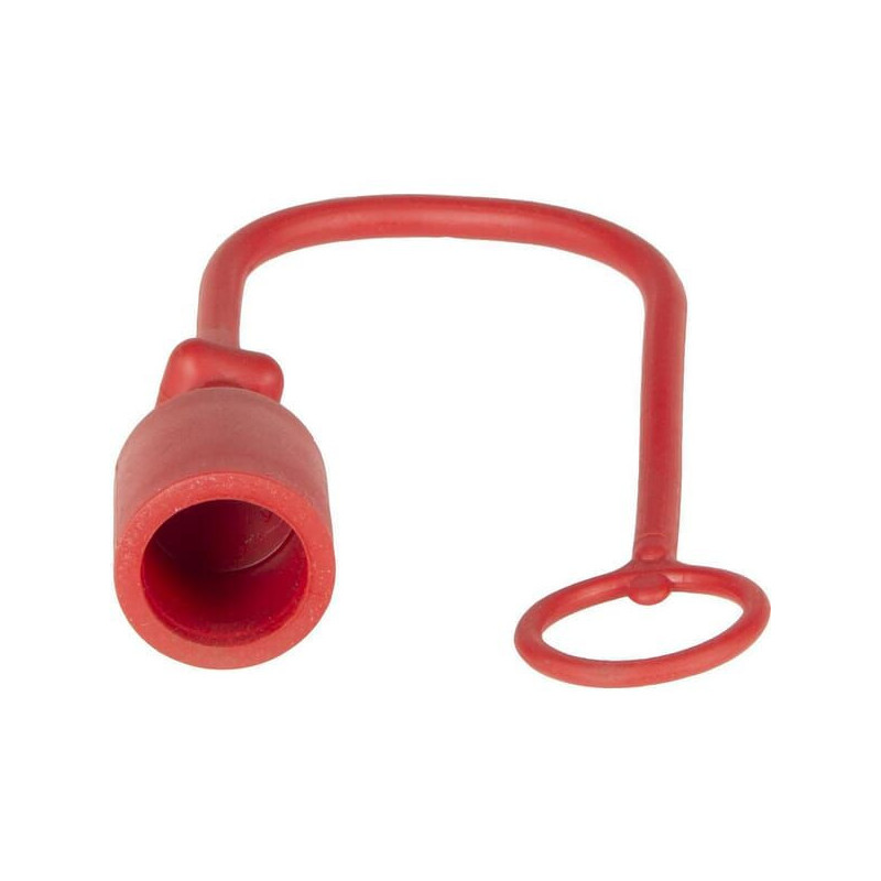 Dust cap plug