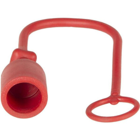 Dust cap plug