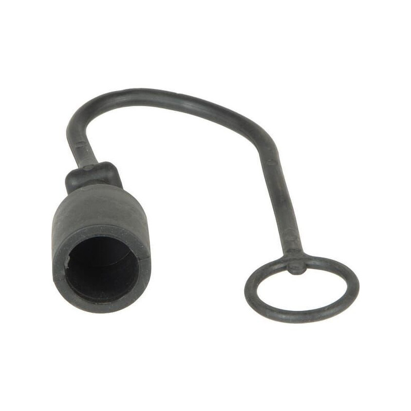 Dust cap plug