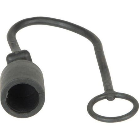 Dust cap plug