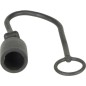 Dust cap plug