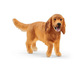 Pies Cocker Spaniel