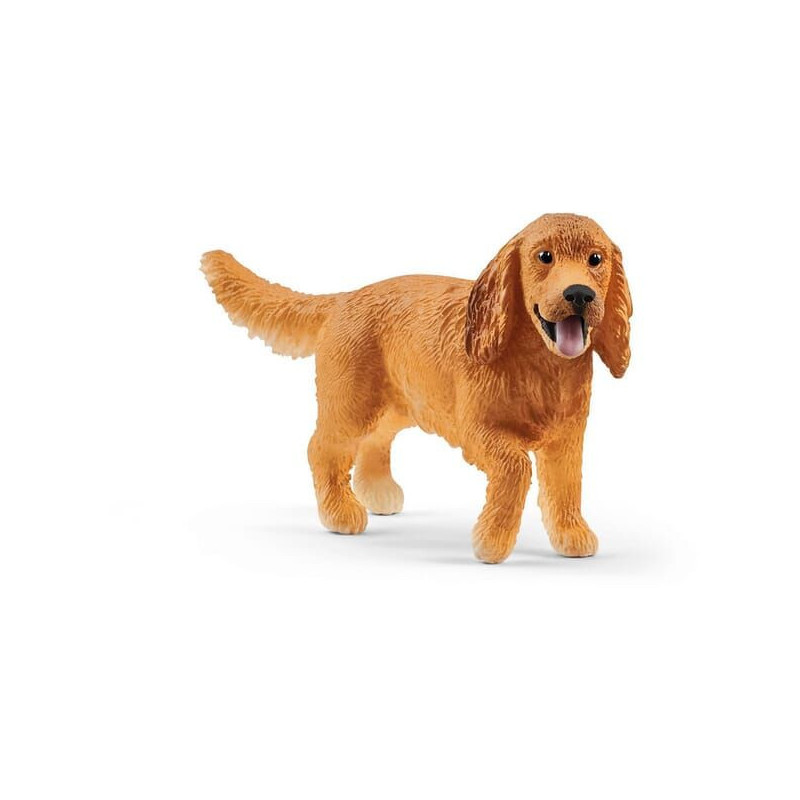 Pies Cocker Spaniel