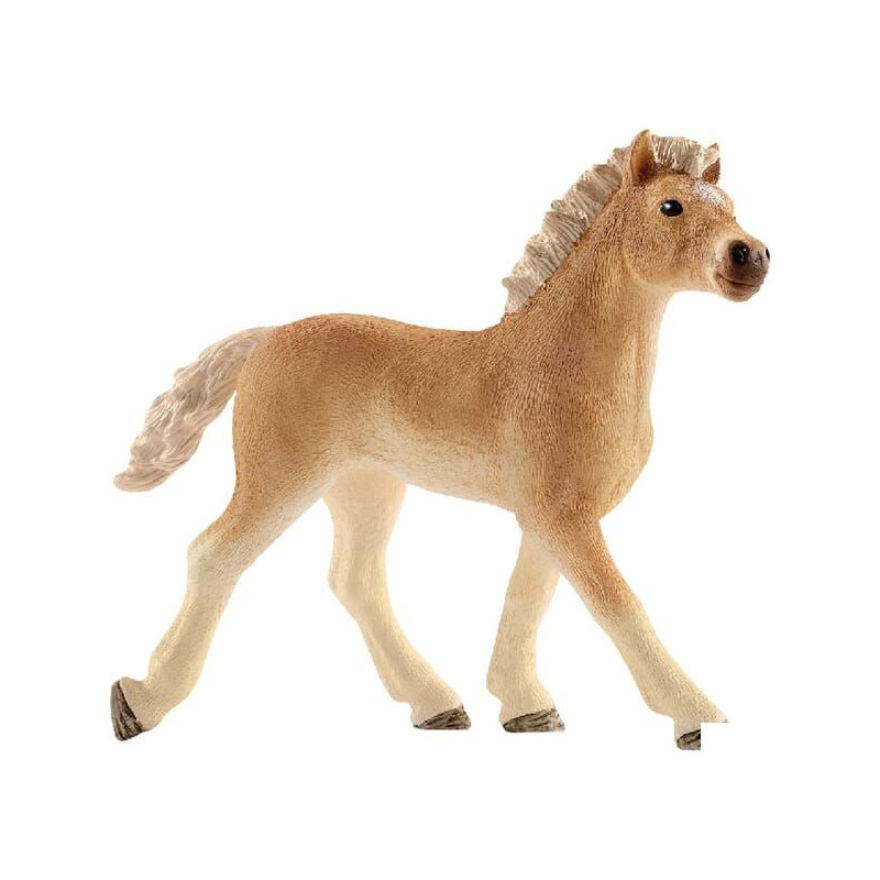 Źrebię Haflinger