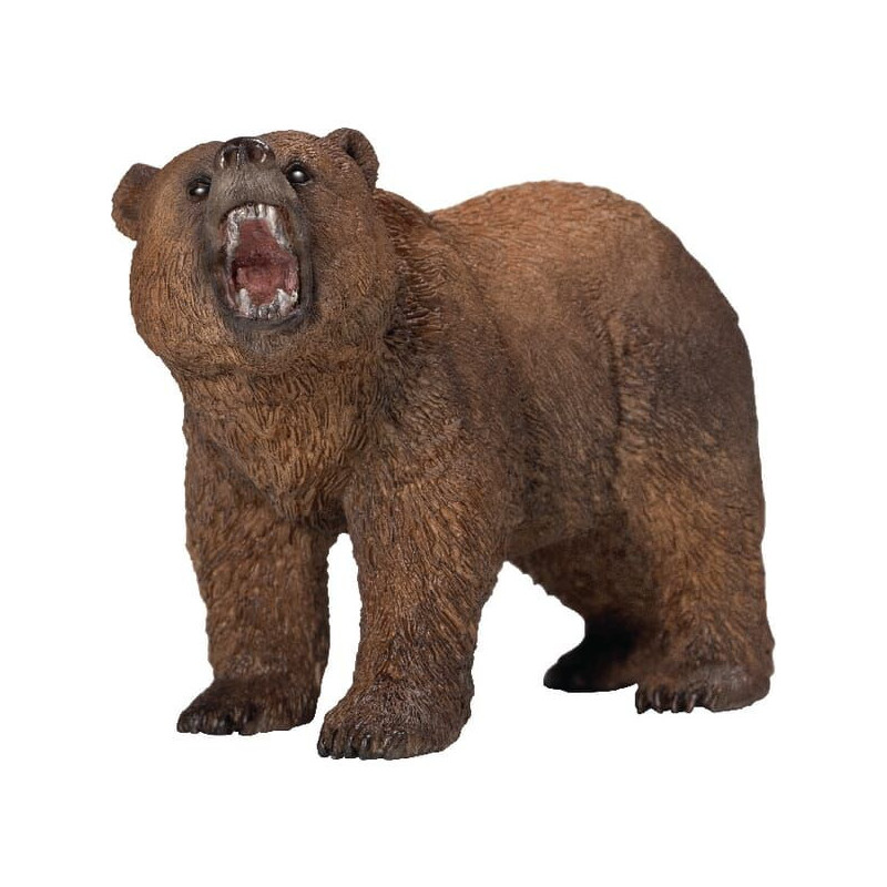 Niedźwiedź grizzly