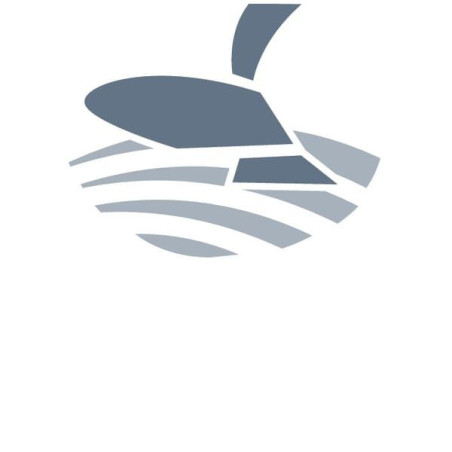 Wąż