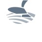 Wąż