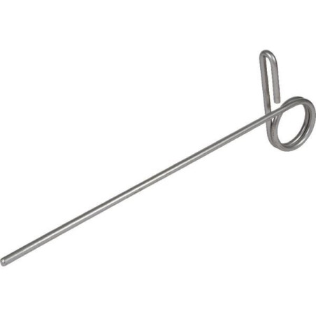 Ząb