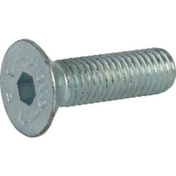 Śruba