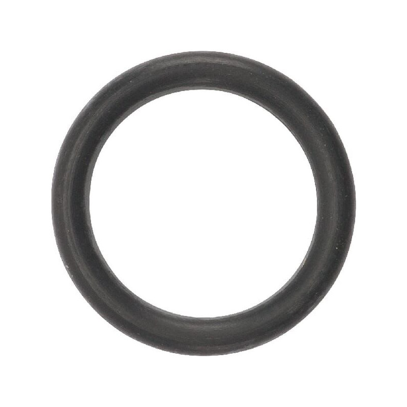 O-ring