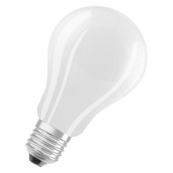 Żarówka LED 17W E27 840