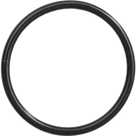 Pierścień uszczelniający o-ring