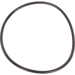 Pierścień uszczelniający o-ring